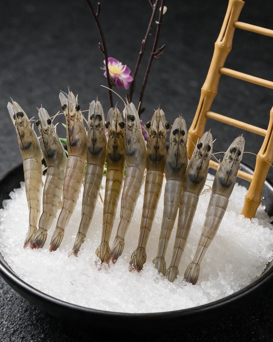 门店提供的南美白对虾菜品素材